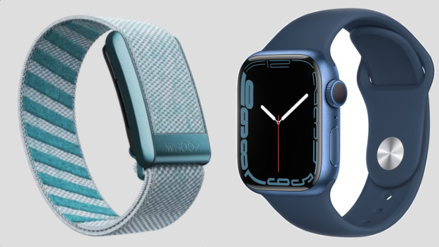 Apple Watch Series 8 v Whoop 4.0: Key differences explained
