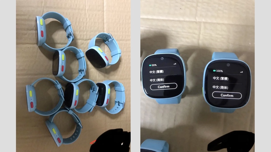 fitbit smartwatch leak