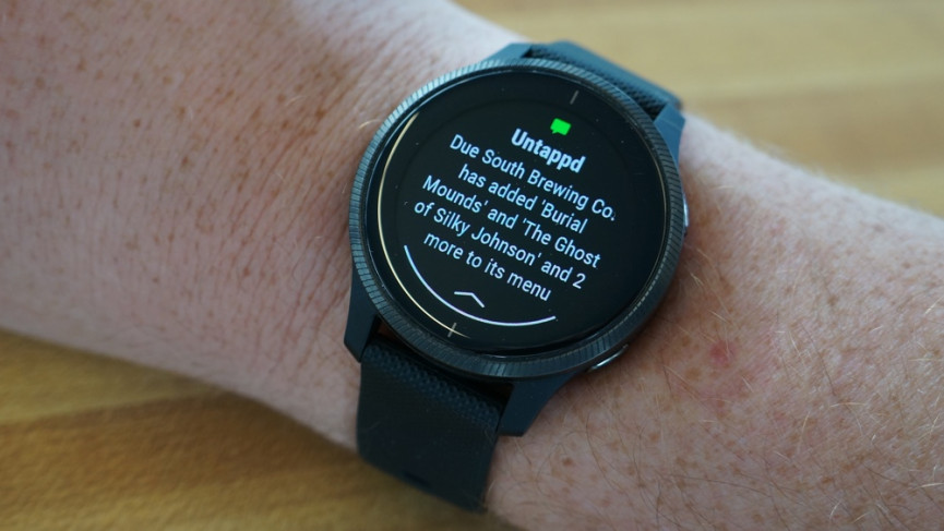 Garmin Venu review: A real smartwatch for those serious about sport